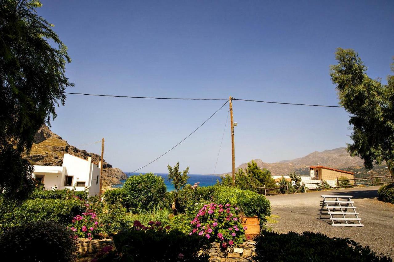 Apartmán Artemis Plakias